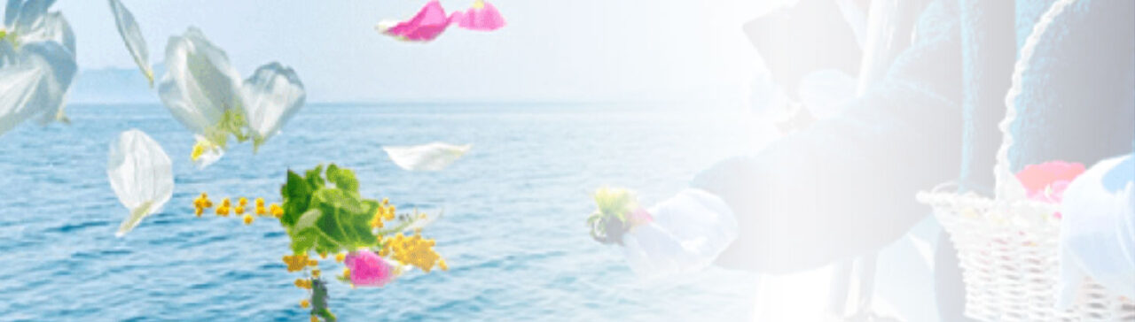 >海洋散骨　墓じまい