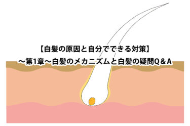 【白髪の原因とセルフ対策】～第1章～白髪のメカニズムと白髪の疑問Q＆A