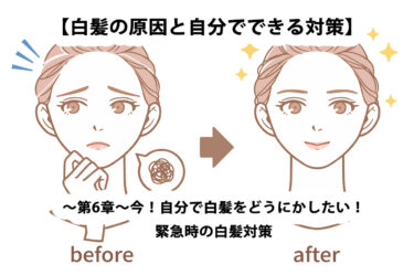 【白髪の原因とセルフ対策】〜第6章〜今！自分で白髪をどうにかしたい！緊急時の白髪対策