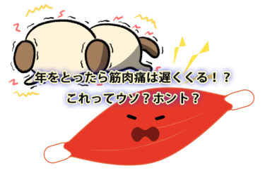 年をとったら筋肉痛が遅く来る！？ウソ？ホント？