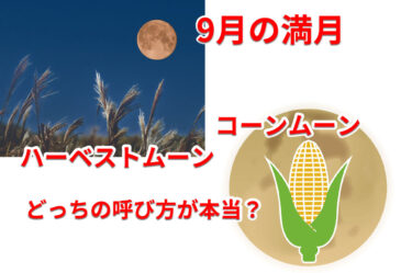 9月の満月は「コーンムーン」？「ハーベストムーン」？どっち？